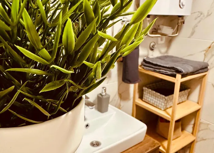 Nomad Lejlighed Divčibare